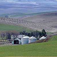 rolling hills of the Palouse